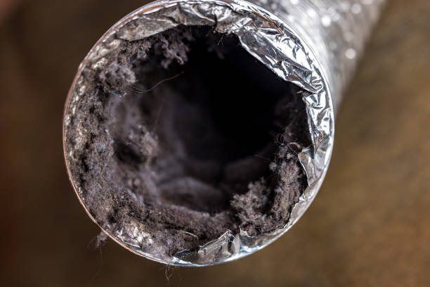Best Dryer Vent Cleaning Services  in Mec, CA