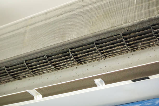 Best Air Duct Inspection  in Mec, CA